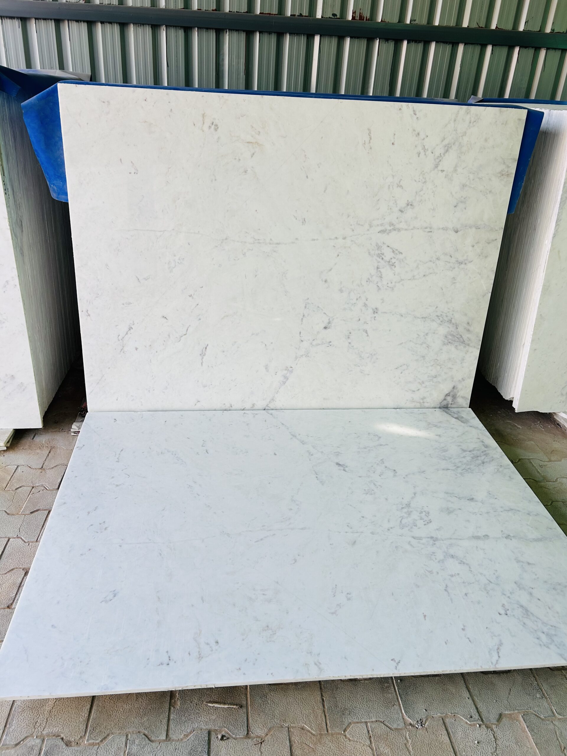 Wonder White - Image 2