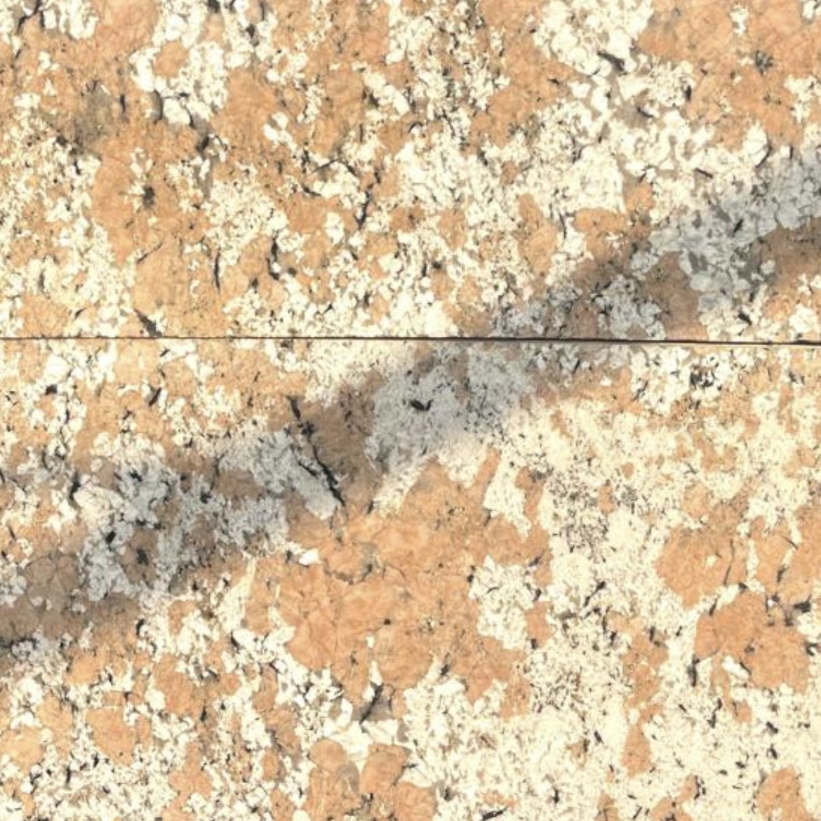 Alaska Pink Quartzite