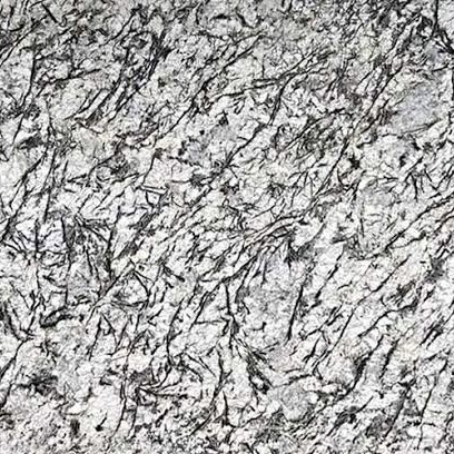 Silver Pearls Quartzite